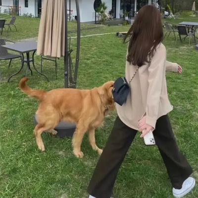 女收藏家